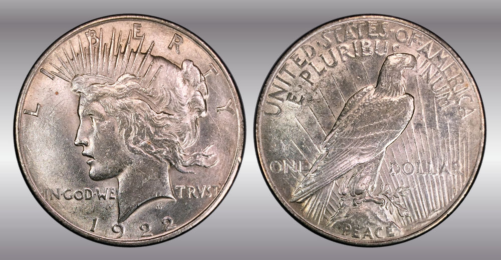 My-Raw-Peace-Dollar-Collection.-.-.-.-Warning!